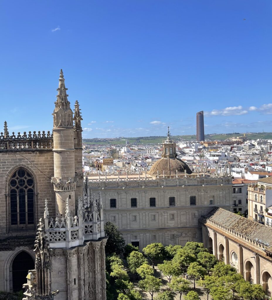 View from the Giralda